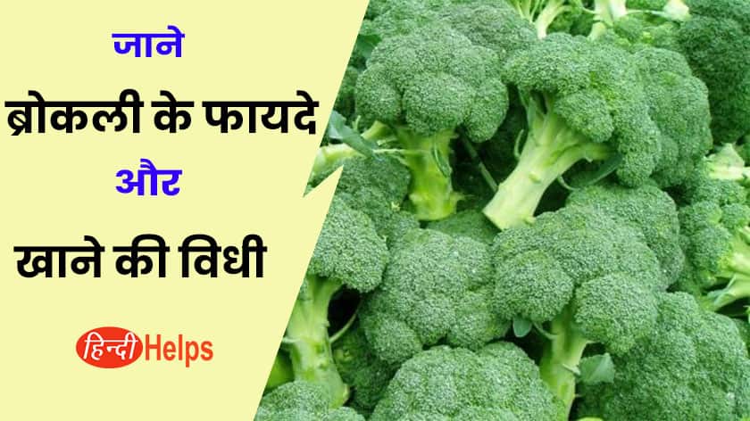 जाने ब्रोकली क्या है और इसके अनोखे फायदे – Broccoli Benefits and uses in Hindi